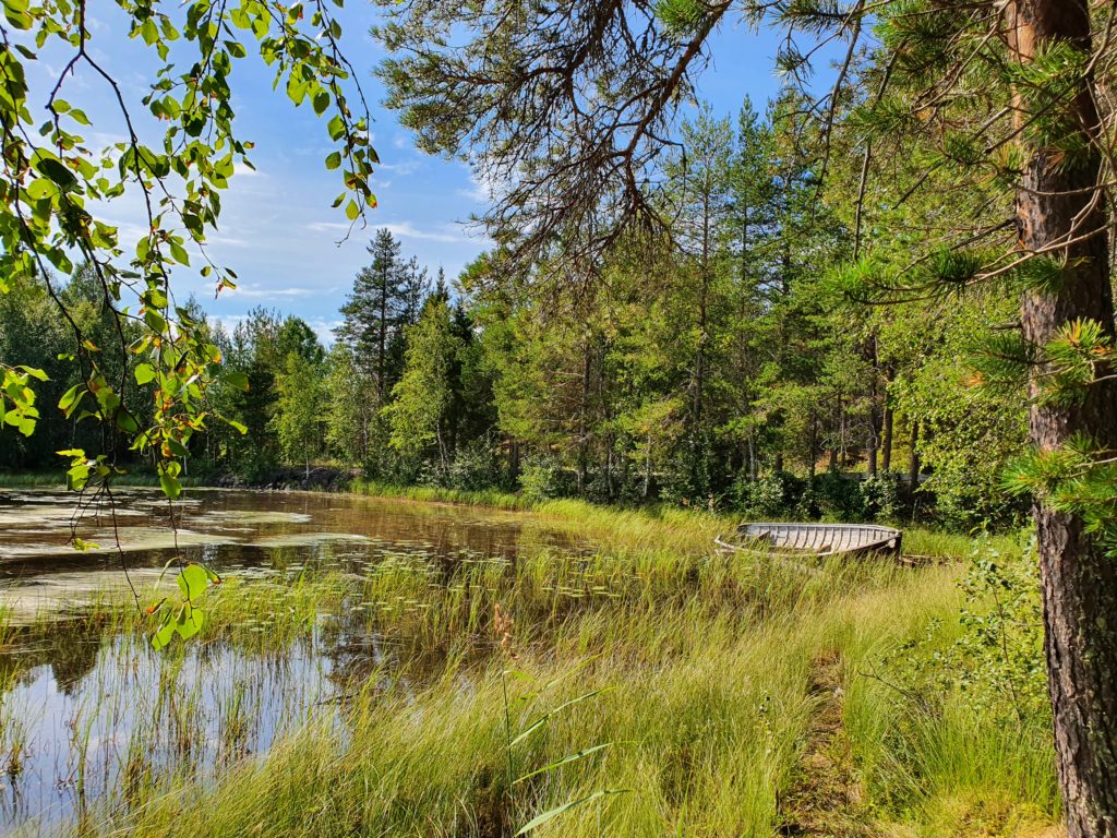 🇸🇪 Jour 13 : Överkalix > Örarna